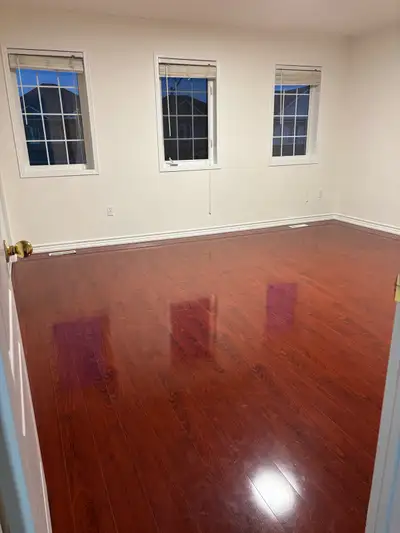 Large rooms, natural lights, free internet, parking available, large living area, backyard with barb...