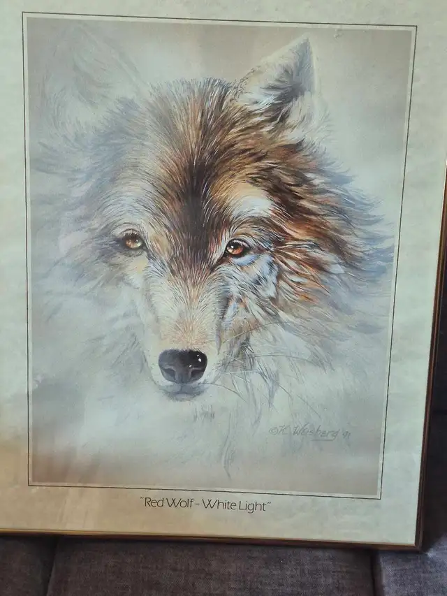 wolf Pictures 469589108112107521