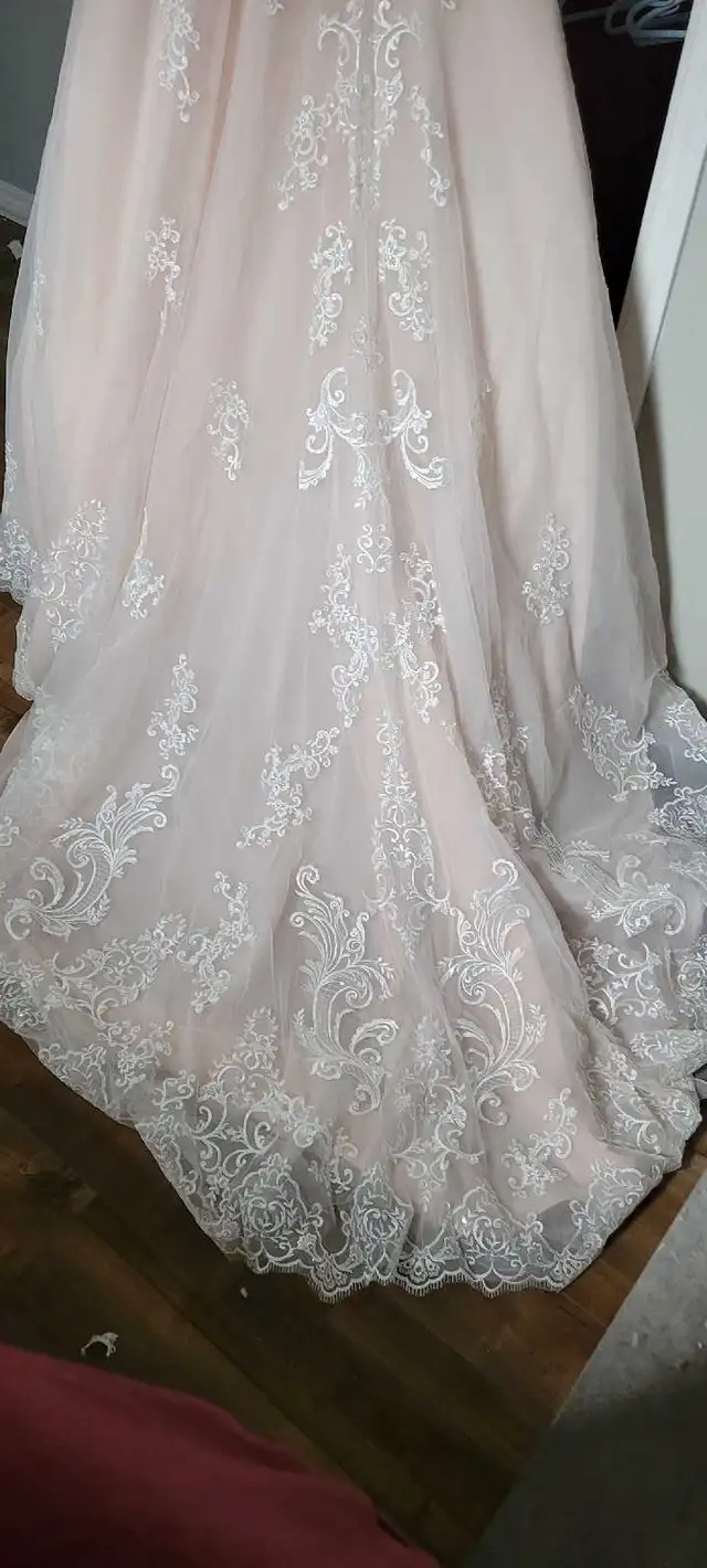 Plus Size Wedding Dress in Wedding in Cape Breton - Image 5