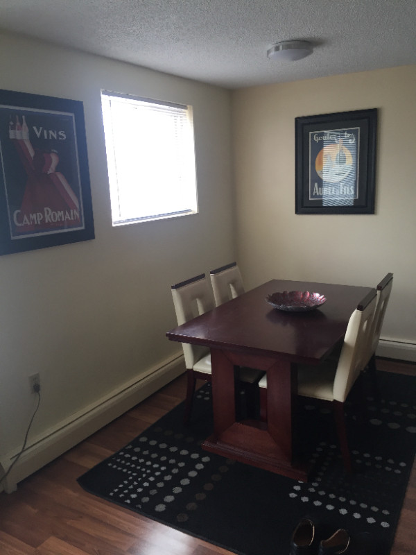 YORKTON - 2 Bedroom Furnished Apartments for Rent in Long Term Rentals in Regina - Image 4