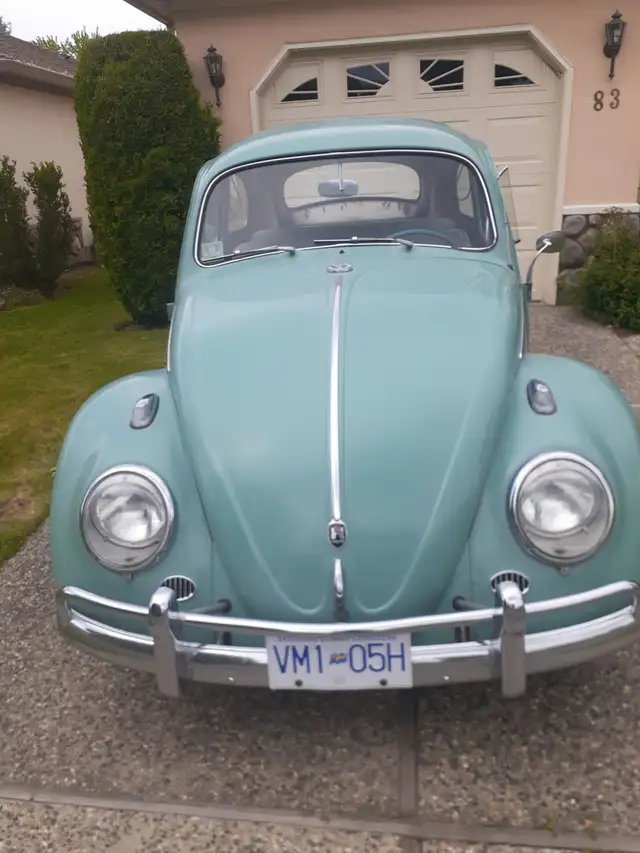1961 Beetle for Sale in Classic Cars in Kelowna - Image 3