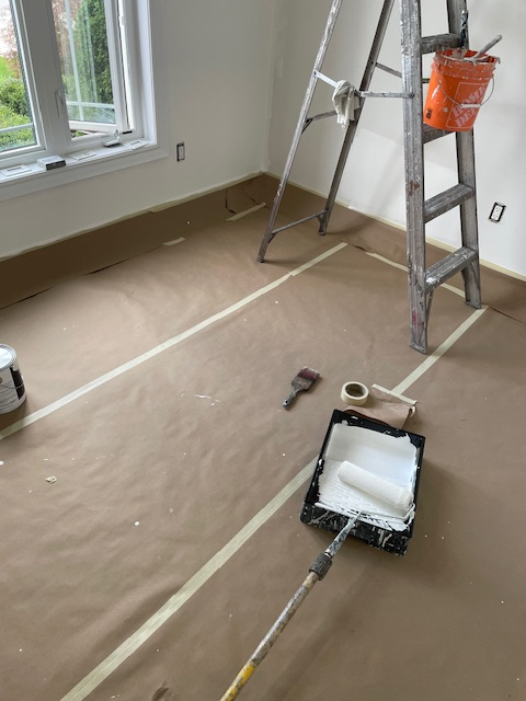 PROFESSIONAL PAINTER553848940780605442