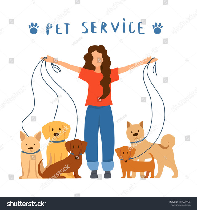 Dog walker available! in Animal & Pet Services in Dartmouth