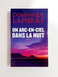 Dominique Lapierre - Un arc-en-ciel dans la nuit - Grand format