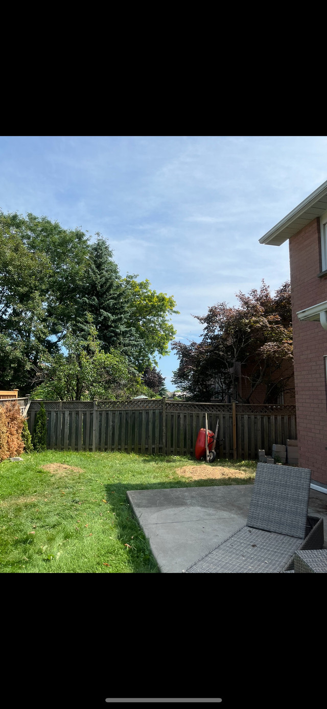 Small Guys, Tree, Shrub & Stump Removal  in Lawn, Tree Maintenance & Eavestrough in Mississauga / Peel Region - Image 2