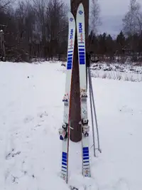 Skis alpins