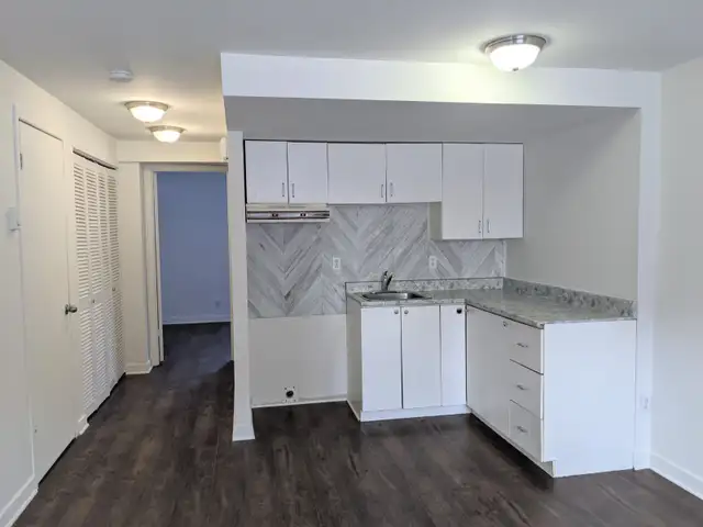 Beau 3-1/2 d'un triplex rénové à Montreal Mercier-Hochelaga 1B1B