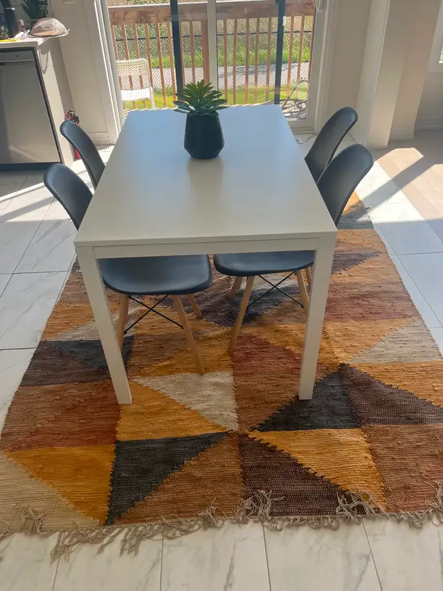 Professional Cleaning482653118430586883
