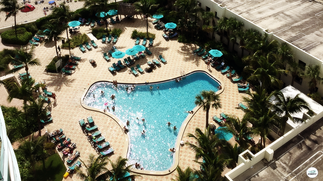 Beachfront 2BR / 1.5BA Condo | King Beds | The Tides  March 2026 in Florida in Canada - Image 4