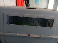 Animal crate ..( medium size)