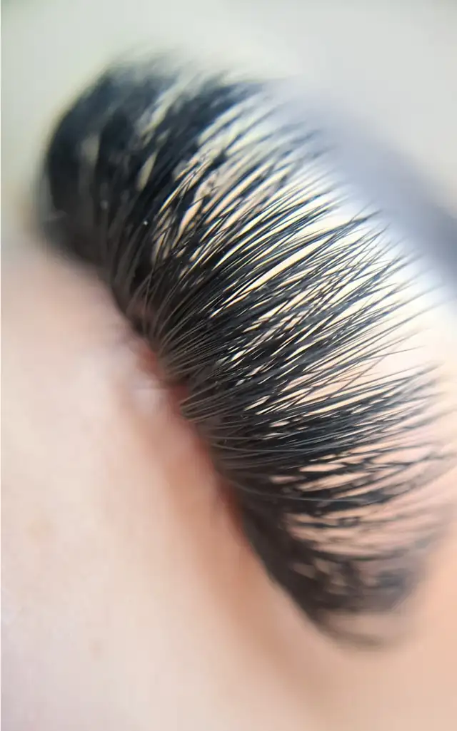 BUNDLE CLASS LASHES NAILS BROWS HAIR EXTENSIONS512621117168701441
