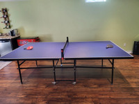 Ping pong table