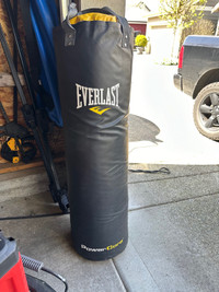 Brand new punching bag