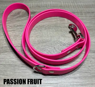 BIOTHANE Leashes, View more