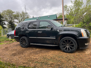 2010 Cadillac Escalade