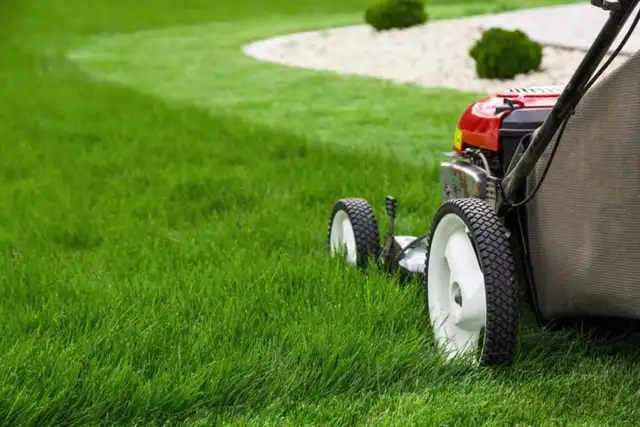 Lawn Mowing and Care 63009266533635121