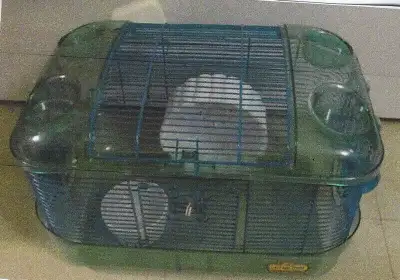 Critter Trail Cages   (pick up only), View more