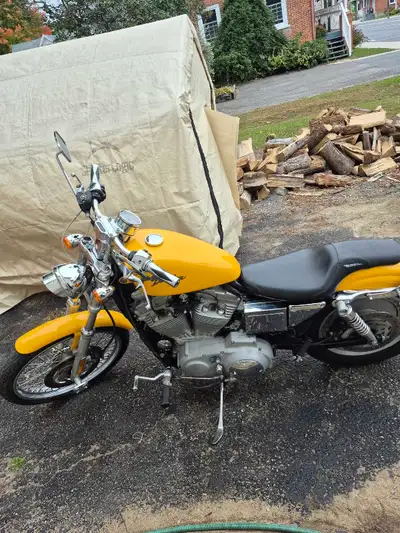 * last chance before being stored for the winter * 2001 Harley Davidson Sportster 1200cc Its an 833...