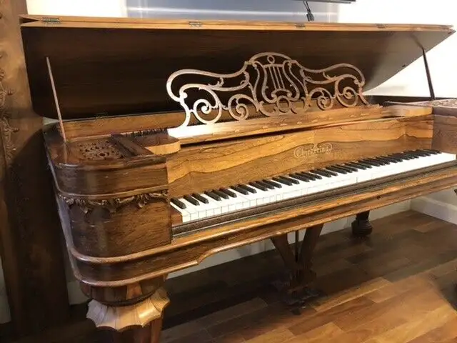 Chickering Grand Piano in Pianos & Keyboards in City of Montréal - Image 3