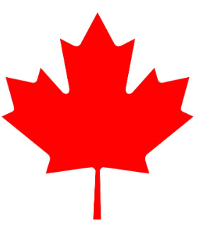 Canada Day temporary tattoos July 1st 2023 Fake tattoo Leaf in Arts & Collectibles in Kingston - Image 2