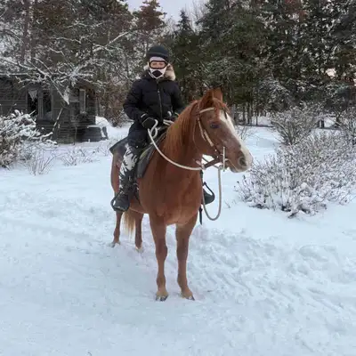 quarter pony mare 7 years old, runs barrels, View more