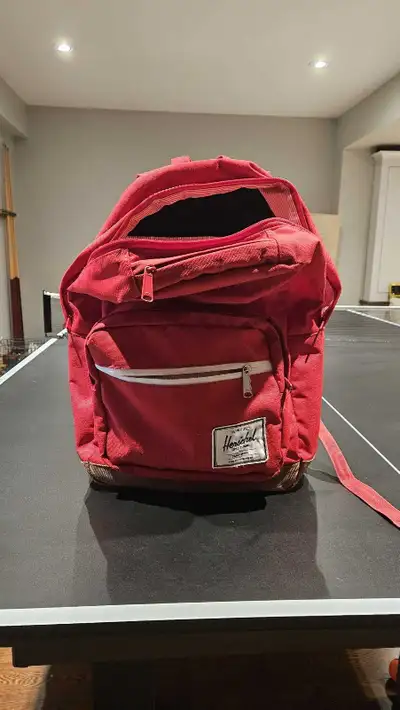 15.6 swiss made laptop backpack Swissgear Laptop Backpack