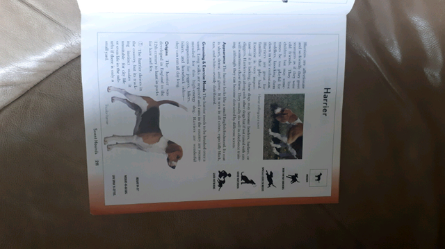 Dog Guide Book in Animal & Pet Services in Moncton - Image 4