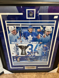 Framed Leafs Pictures