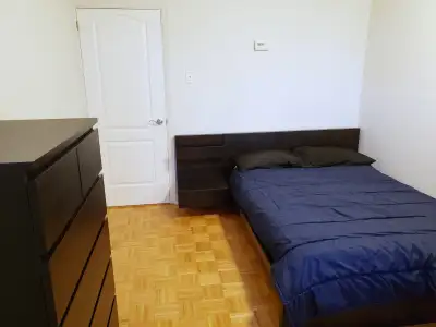 Chambre meublée à Hull / Room for rent in Hull