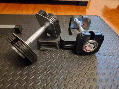 Adjustable dumbbells ranging from 7.5lbs (with just the handle) to 50lbs each. Less bulky and more d...