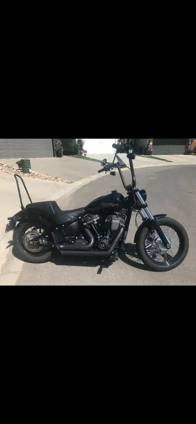 Forward controls, apes, saddle men step up seat, stage one, heavy breather intake, vancenhines short...
