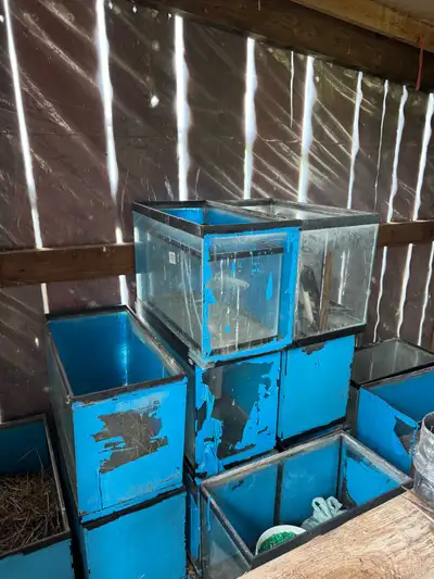 Assorted Glass Aquariums, View more