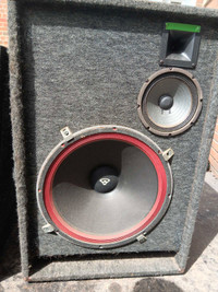 Cerwin-vega (300 watts) Speaker