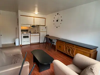 Disponible pour occupation au 1 octobre, lumineux 3 1/2 tout inclus (meublé, chauffage, electricité,...