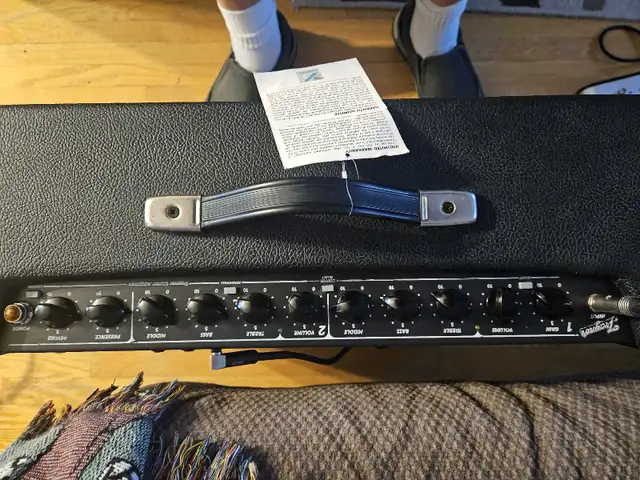 Traynor custom valve 40 tube amp in Amps & Pedals in Mississauga / Peel Region - Image 6