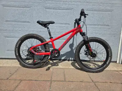 Devinci Ewoc "20 MTB, View more