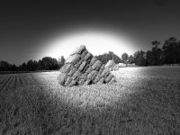 Wheat Straw Bales - Square