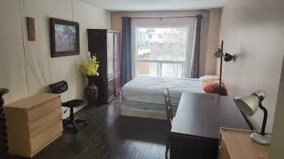 Furnished bedroom with private washroom for rent available immediately or April 1 st. 3 rooms are av...