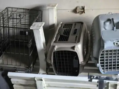 transporteur pour CHAT 20$ chaque cage noire en broche aussi à 20$ très bonne condition de shawi sud
