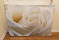 Rose canvas art 2.5'x3'ish
