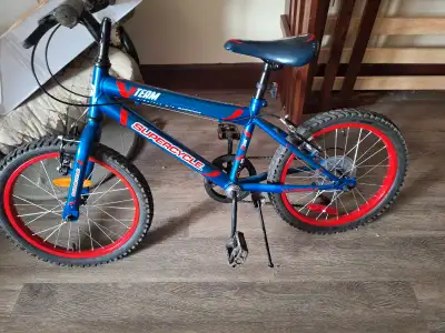 Kids 16 inch bike for sale asking 100 firm