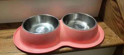 Dog Items, View more