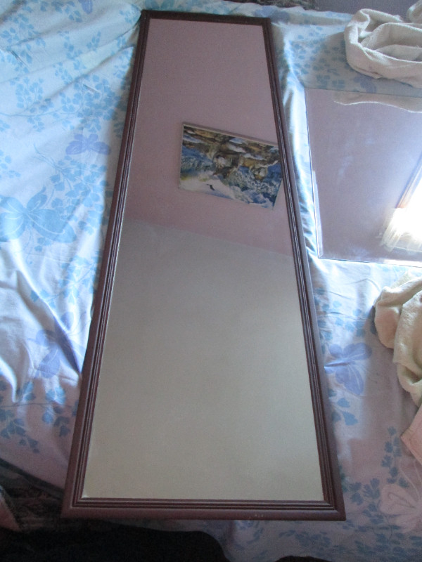 framed mirror (15 3/4 x 55 3/4). in Home Décor & Accents in Peterborough