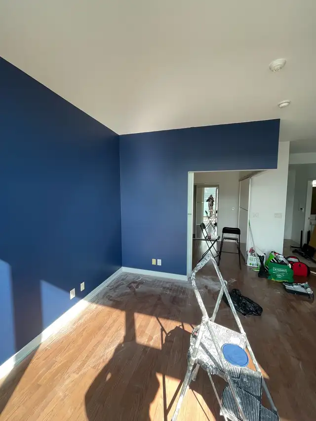 PAINTERS FOR CHEAP510357562762864644