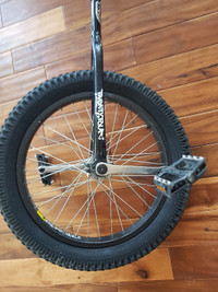 Norco Twenty Four Unicycle