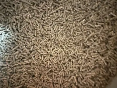 Guinea pig/bunny  pellets .  1/2 bin, View more