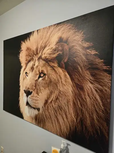 large wall picture, View more