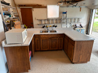 Lower Kitchen Cabinets and Countertop