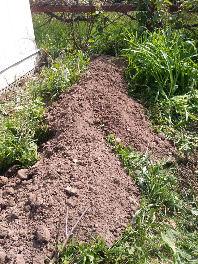 Free Clean Fill/TopSoil Scarborough in Free Stuff in City of Toronto