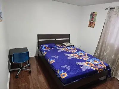 Room for rent